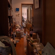 点击查看图片 异国日记 違国日記