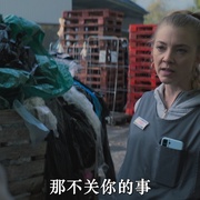 黄蜂蜇 The Wasp