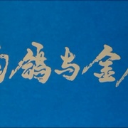 点击查看图片 白鸽
