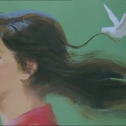 点击查看图片 白鸽
