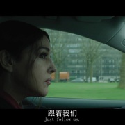 网中蜘蛛 Spider In The Web