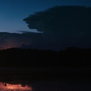 凯多湖的消失 Caddo Lake