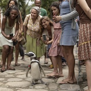 我的企鹅朋友 My Penguin Friend