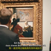 靠近维米尔 Close to Vermeer