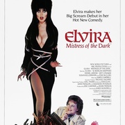点击查看图片 销魂天师 Elvira, Mistress of the Dark