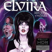 点击查看图片 销魂天师 Elvira, Mistress of the Dark