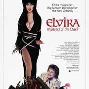 点击查看图片 销魂天师 Elvira, Mistress of the Dark
