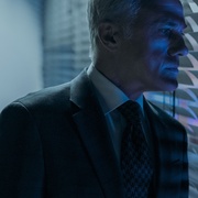 顾问 The Consultant