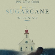 点击查看图片 甘蔗 Sugarcane