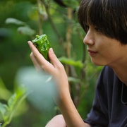 点击查看图片 天狗的厨房 第二季 天狗の台所 Season2