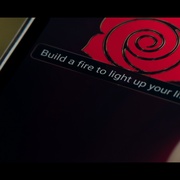 点击查看图片 红玫瑰 Red Rose