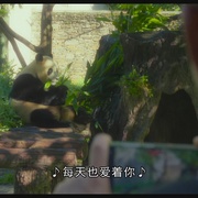 再见，福宝 안녕，할부지