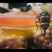 虫虫历险记 A Real Bug's Life