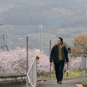 点击查看图片 伟大的缺席 大いなる不在