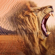 点击查看图片 大卫·艾登堡:大自然的声音 Secret World of Sound with David Attenborough