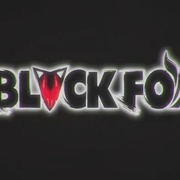 点击查看图片 黑狐:忍者时代 BLACKFOX: Age of the Ninja