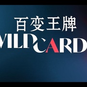 百变王牌 第一季 Wild Cards Season 1
