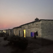 点击查看图片 成为一只珍珠鸡 On Becoming a Guinea Fowl