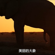 扯淡生命史 Cunk on Life