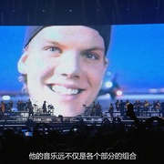 点击查看图片 电音奇才艾维奇:蒂姆原色 Avicii - I'm Tim