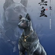 点击查看图片 遮天 年番2