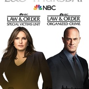 点击查看图片 法律与秩序:组织犯罪 第二季 Law & Order: Organized Crime Season 2