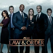 法律与秩序 第二十二季 Law & Order Season 22