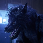点击查看图片 异变狼人 Werewolves