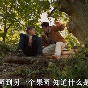 点击查看图片 玩具当家 Le Nouveau Jouet