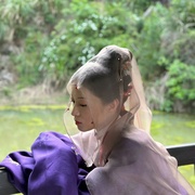点击查看图片 锦囊妙录