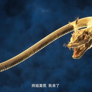 凡人修仙传：再别天南
