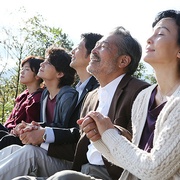 点击查看图片 樱花盛开 サクラサク