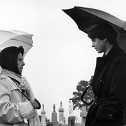 哈洛与慕德 Harold and Maude