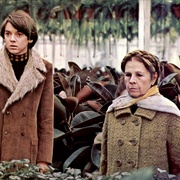 哈洛与慕德 Harold and Maude