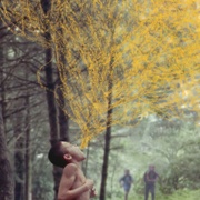 我们，动物 We the Animals