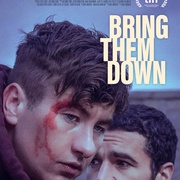 打倒他们 Bring Them Down
