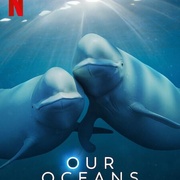 点击查看图片 我们的海洋 Our Oceans
