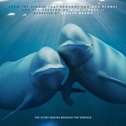 点击查看图片 我们的海洋 Our Oceans