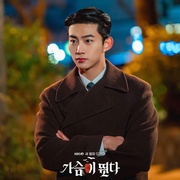心跳 가슴이 뛴다