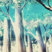 点击查看图片 精灵宝可梦:时拉比 穿越时空的相遇 劇場版ポケットモンスター セレビィ 時を超えた遭遇