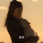 点击查看图片 高斯奥特曼VS杰斯提斯奥特曼 最终决战 ウルトラマンコスモスVSウルトラマンジャスティス THE FINAL BATTLE