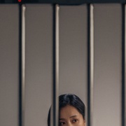 点击查看图片 以法之名