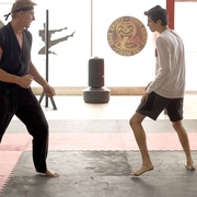 点击查看图片 眼镜蛇 第一季 Cobra Kai Season 1