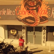 点击查看图片 眼镜蛇 第一季 Cobra Kai Season 1