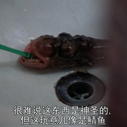 点击查看图片 异形再现 The Deadly Spawn