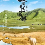 人间有味山河鲜 第二季