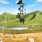人间有味山河鲜 第二季