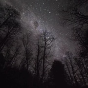 点击查看图片 荒野独居 第三季 Alone Season 3