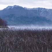 点击查看图片 荒野独居 第三季 Alone Season 3