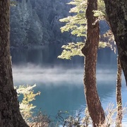 点击查看图片 荒野独居 第三季 Alone Season 3